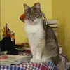 Отзыв от Ирина Софронова